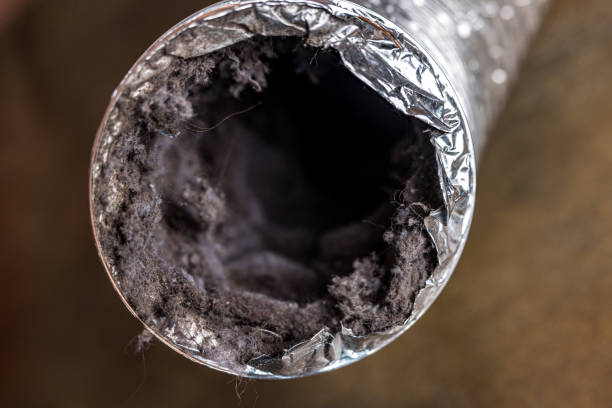 Best Ventilation Cleaning Services  in Bacliff, TX